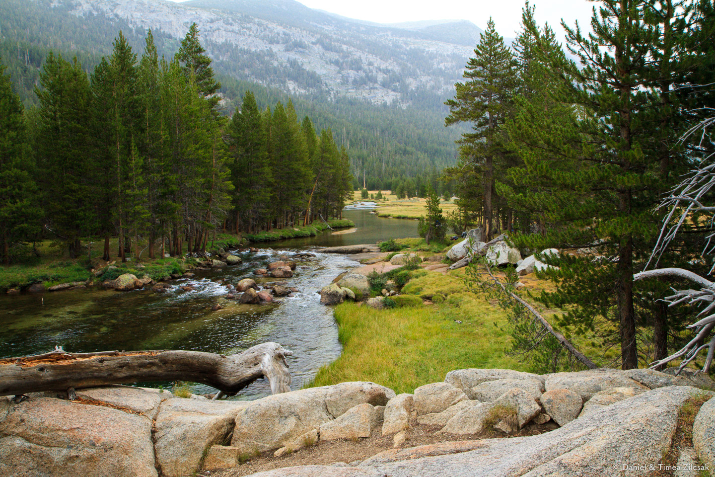 Lyell Fork of the Tuolumne River - Backpacking Yosemite