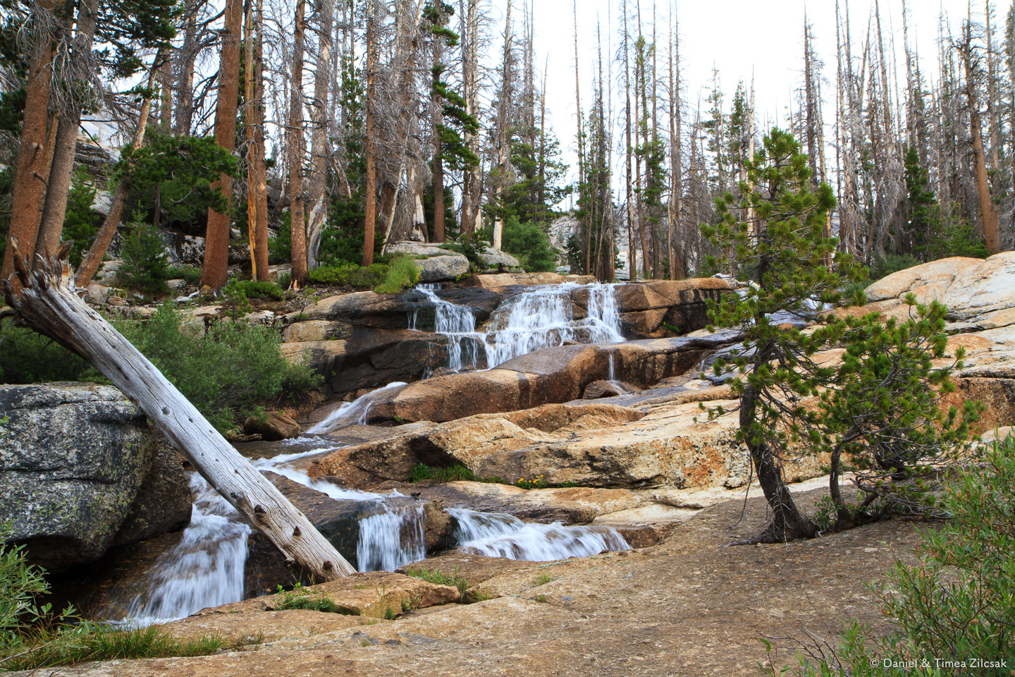 Fletcher Creek on our way to Merced Lake, Yosemite National Park