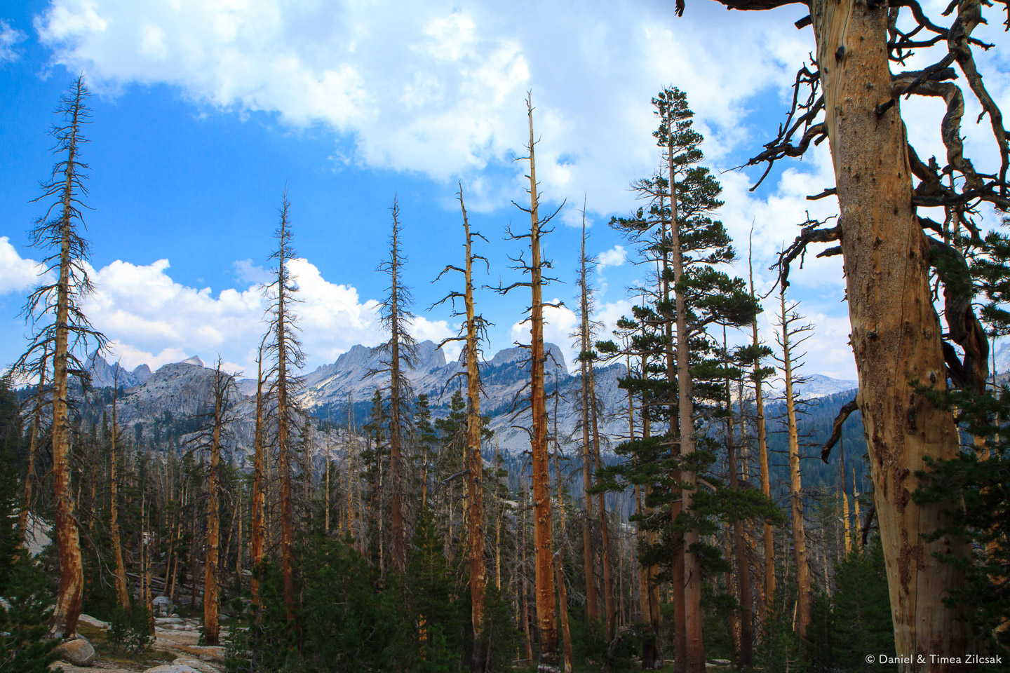 Cathedral Range with its razor sharp peaks, Yosemite National Park