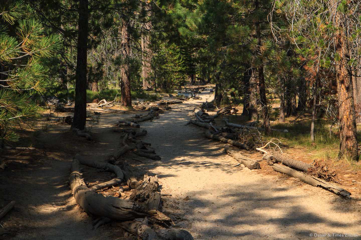 Section of trail in Little Yosemite Valley, near the campground where we spent two nights