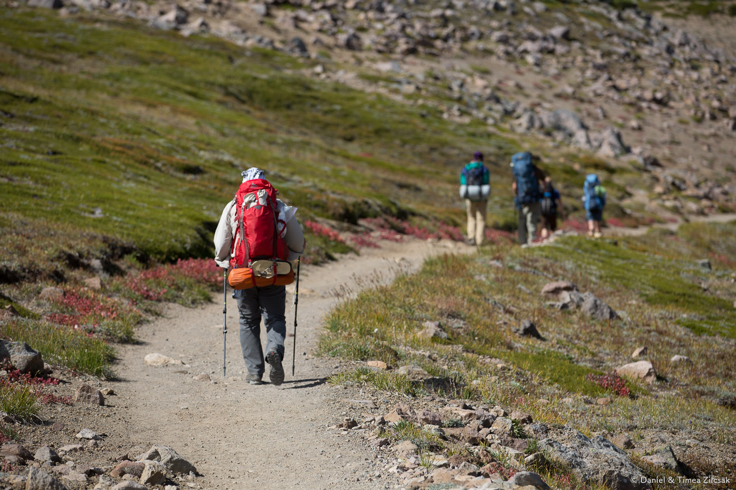 Backpackers on the Wonderland Trail around Mount Rainier