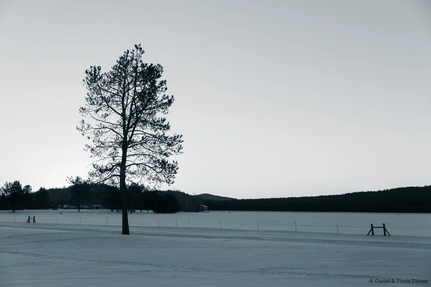 A winter landscape in Sunriver, Oregon