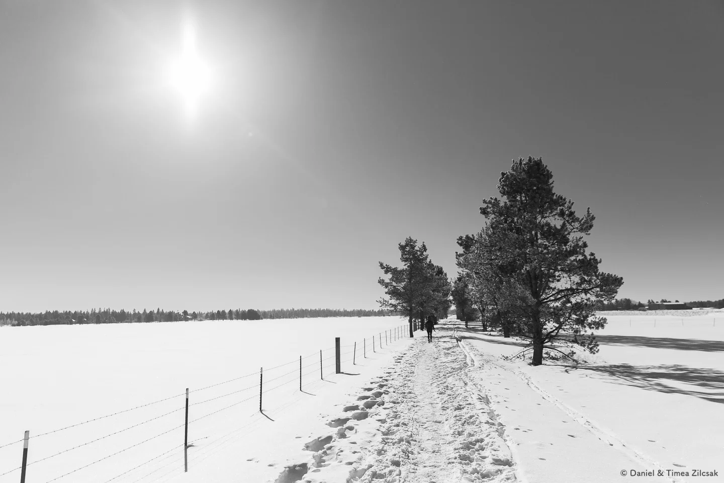 A winter landscape in Sunriver, Oregon
