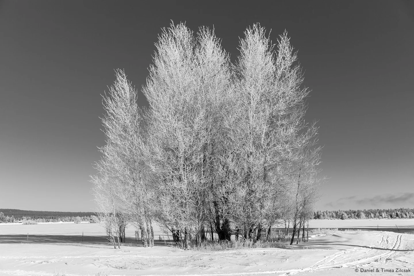 A winter landscape in Sunriver, Oregon