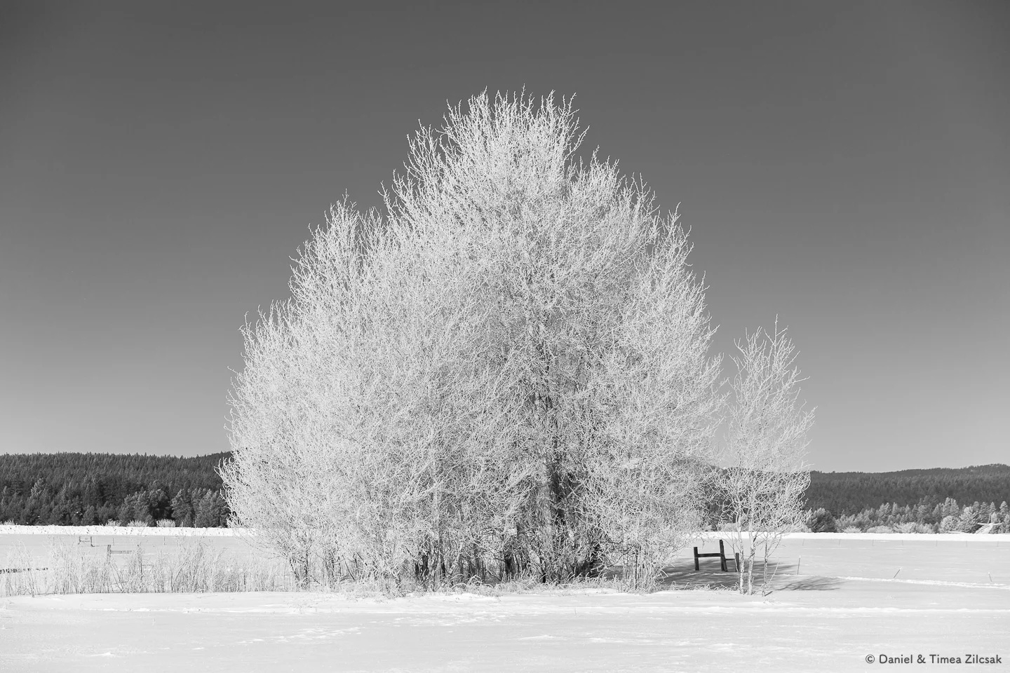 A winter landscape in Sunriver, Oregon
