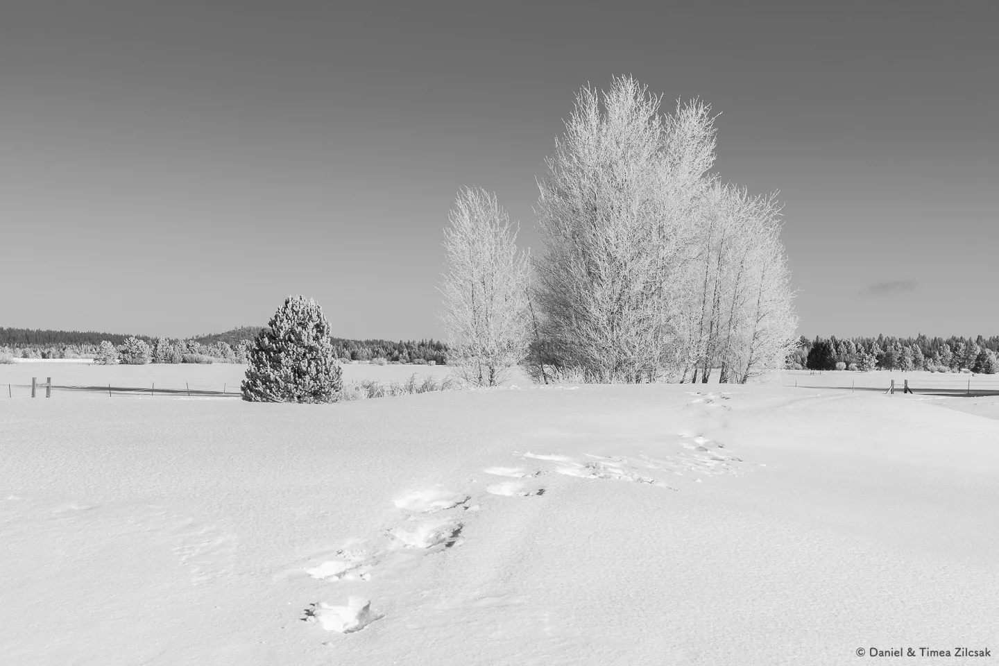 A winter landscape in Sunriver, Oregon