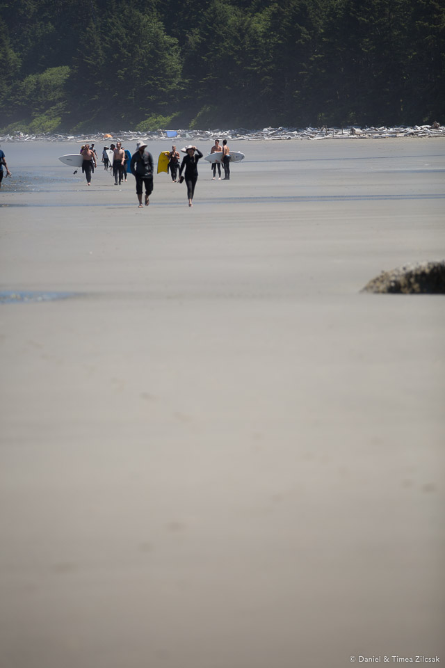 On an Olympic National Park beach