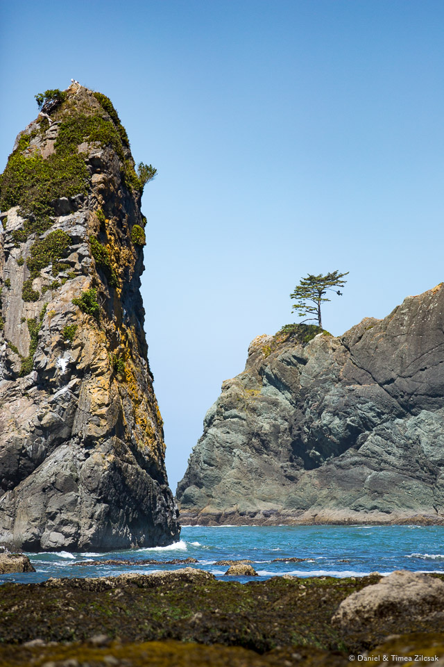 Point of the Arches, Olympic Peninsula