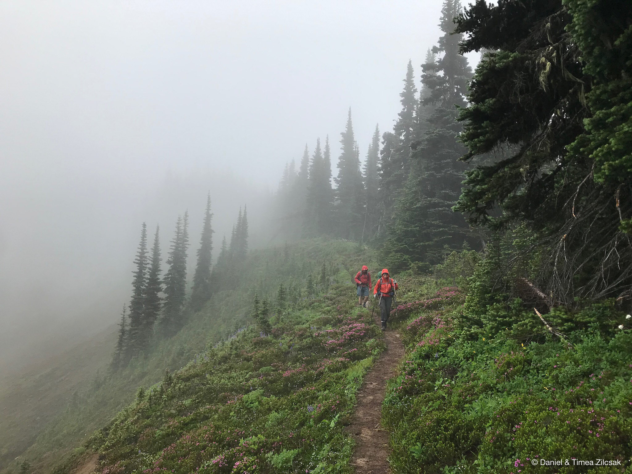Hiking out of Sheep Camp near Buck Creek Pass - Backpacking Glacier Peak