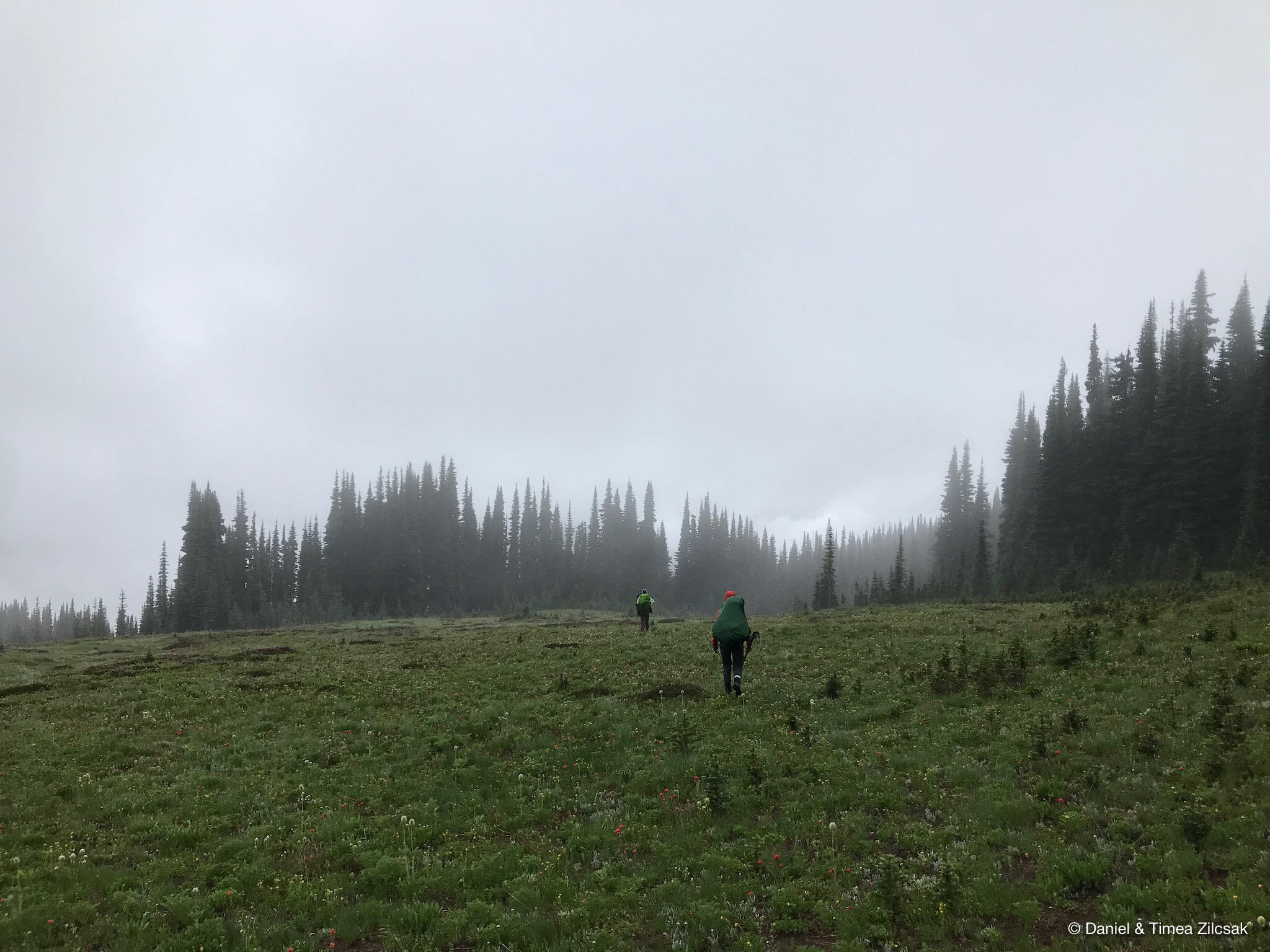 Hiking out of Sheep Camp near Buck Creek Pass - Backpacking Glacier Peak