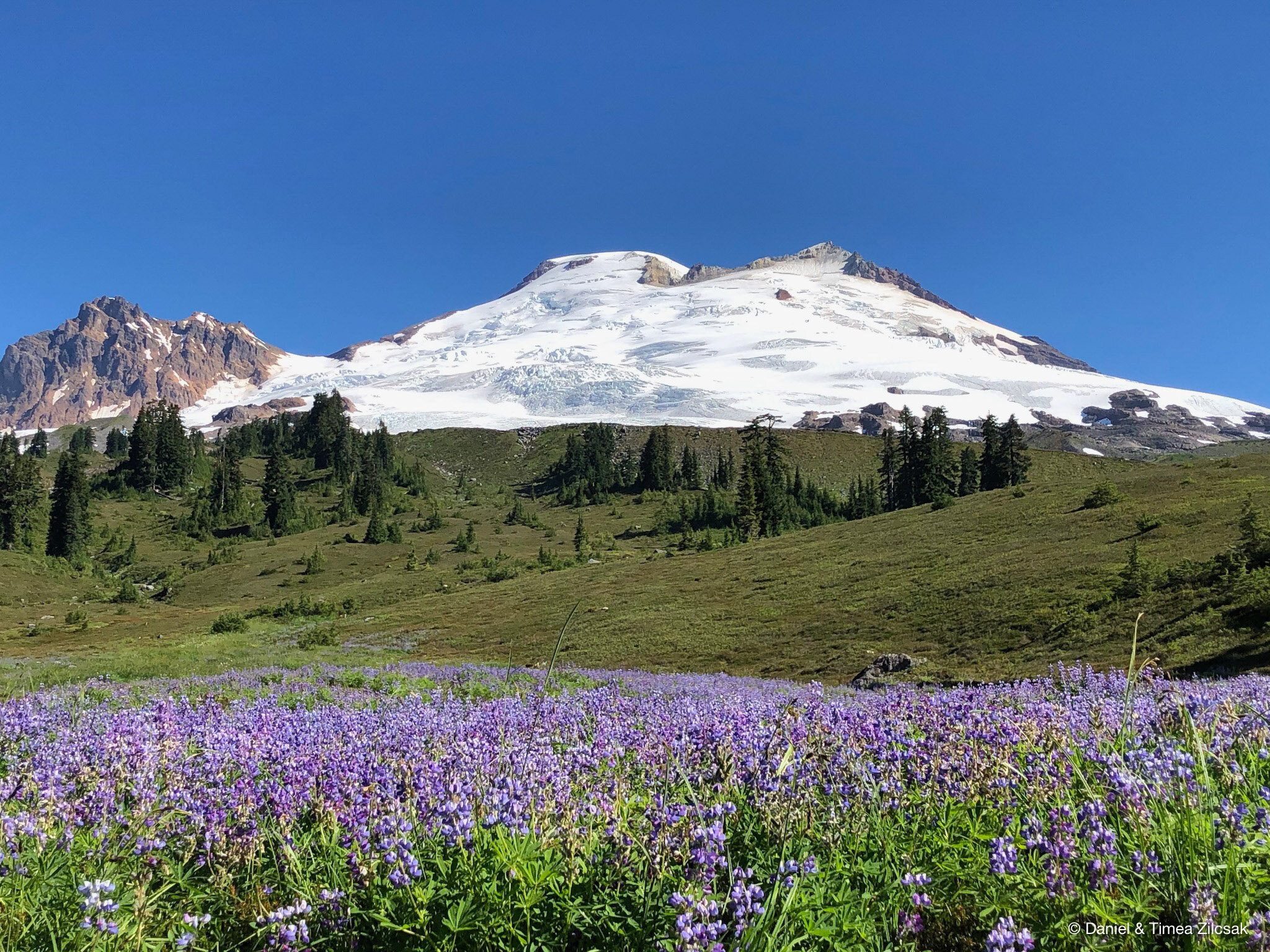 Backpacking Park Butte With Stunning Views Of Mount Baker