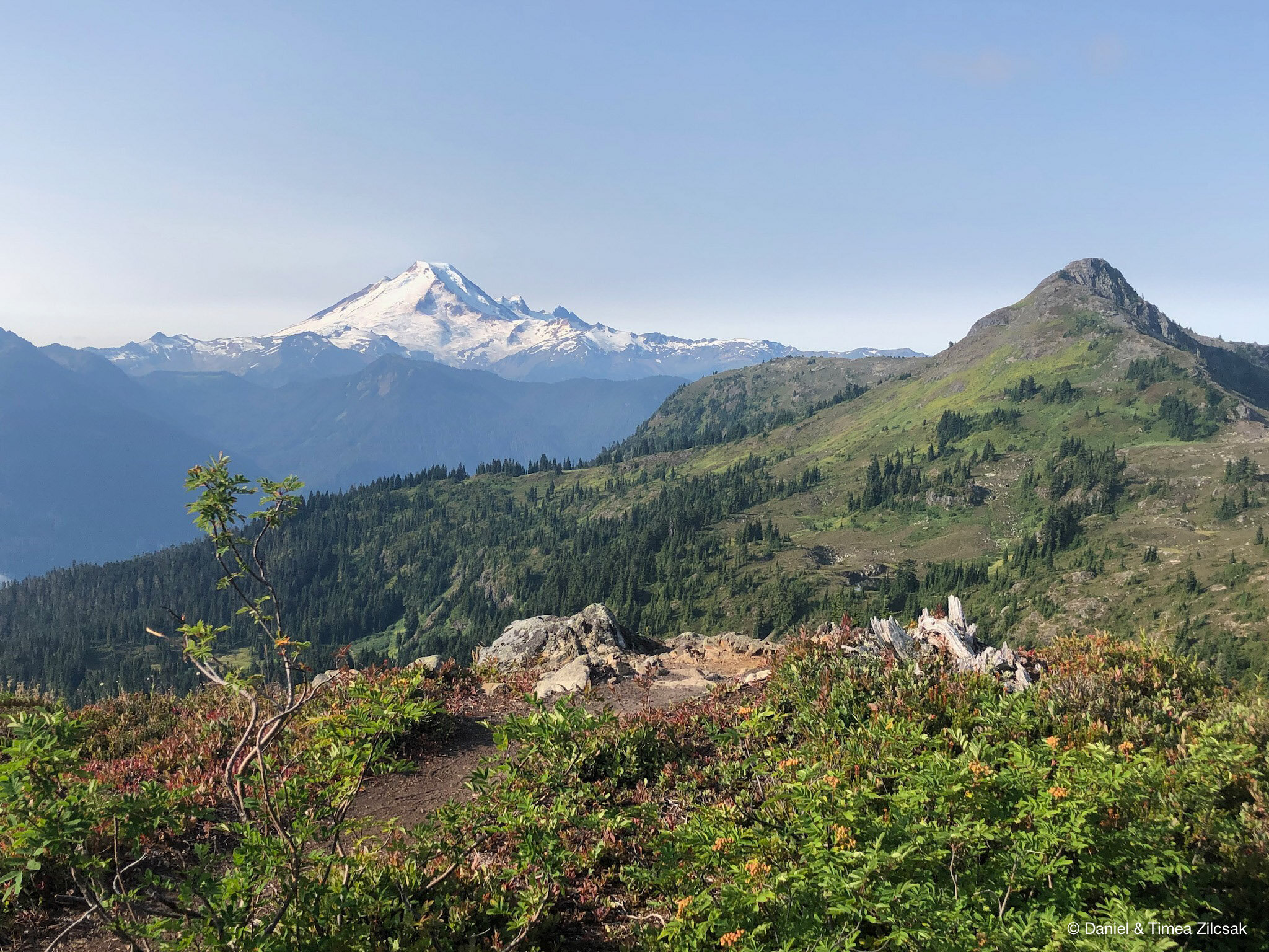 View of Mount Baker from the trail to Yellow Aster Butte