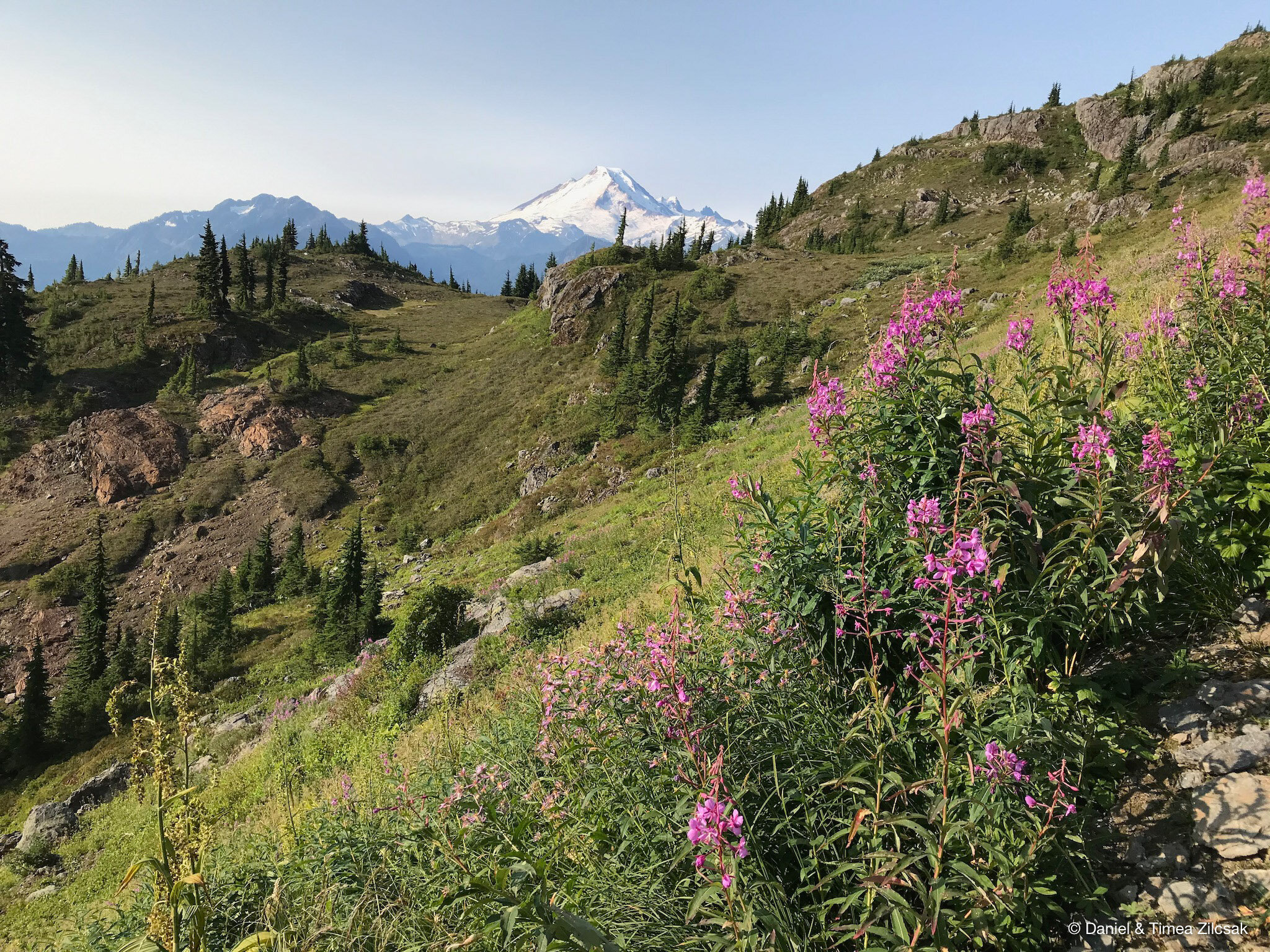 View of Mount Baker from the trail to Yellow Aster Butte