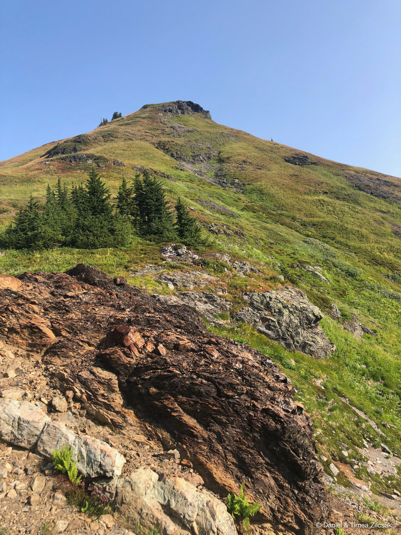 View of Yellow Aster Butte's false summit from the trail