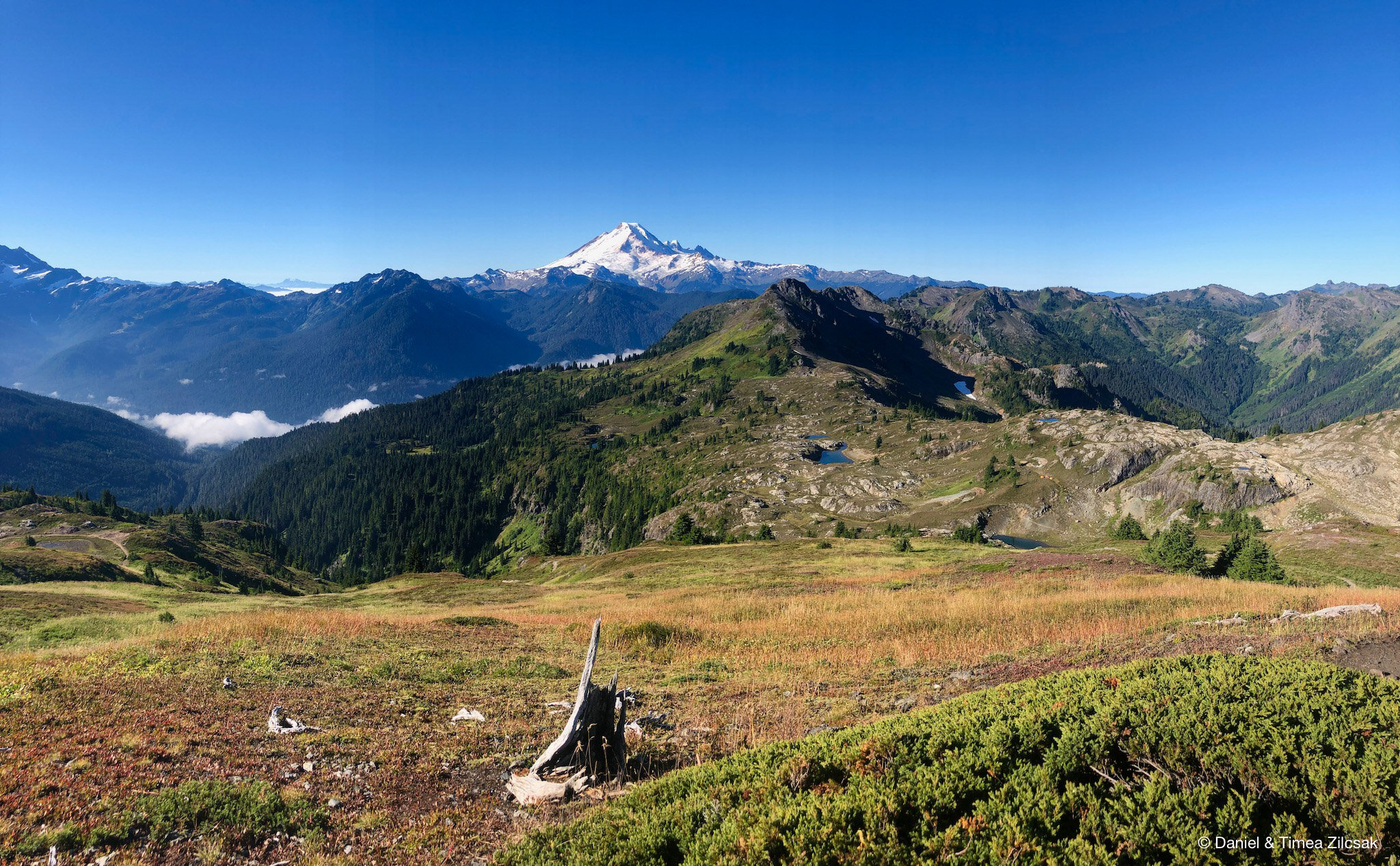 View of Mount Baker from Yellow Aster Butte's false summit