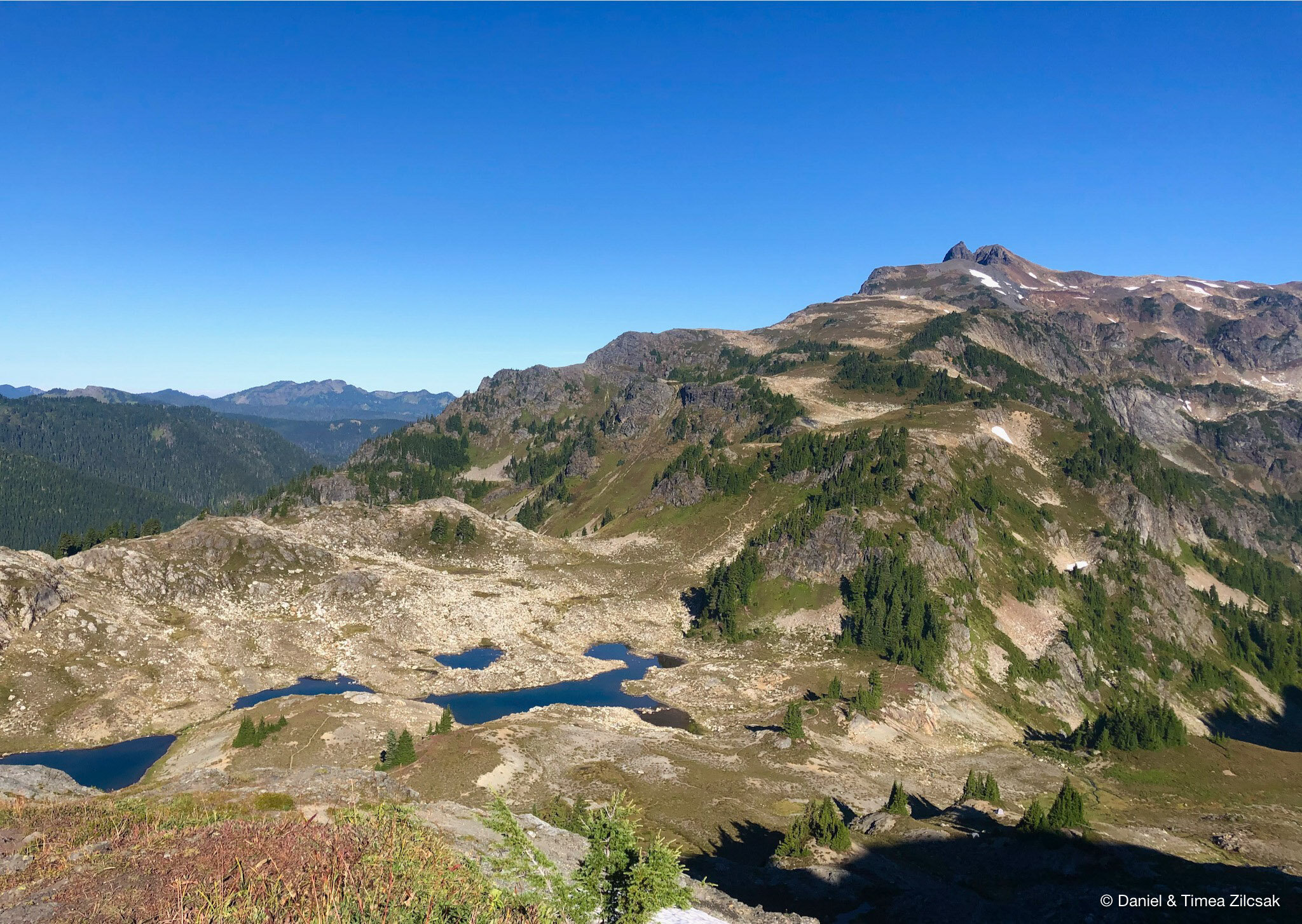 View of Tomyhoi Peak and trial from Yellow Aster Butte's false summit