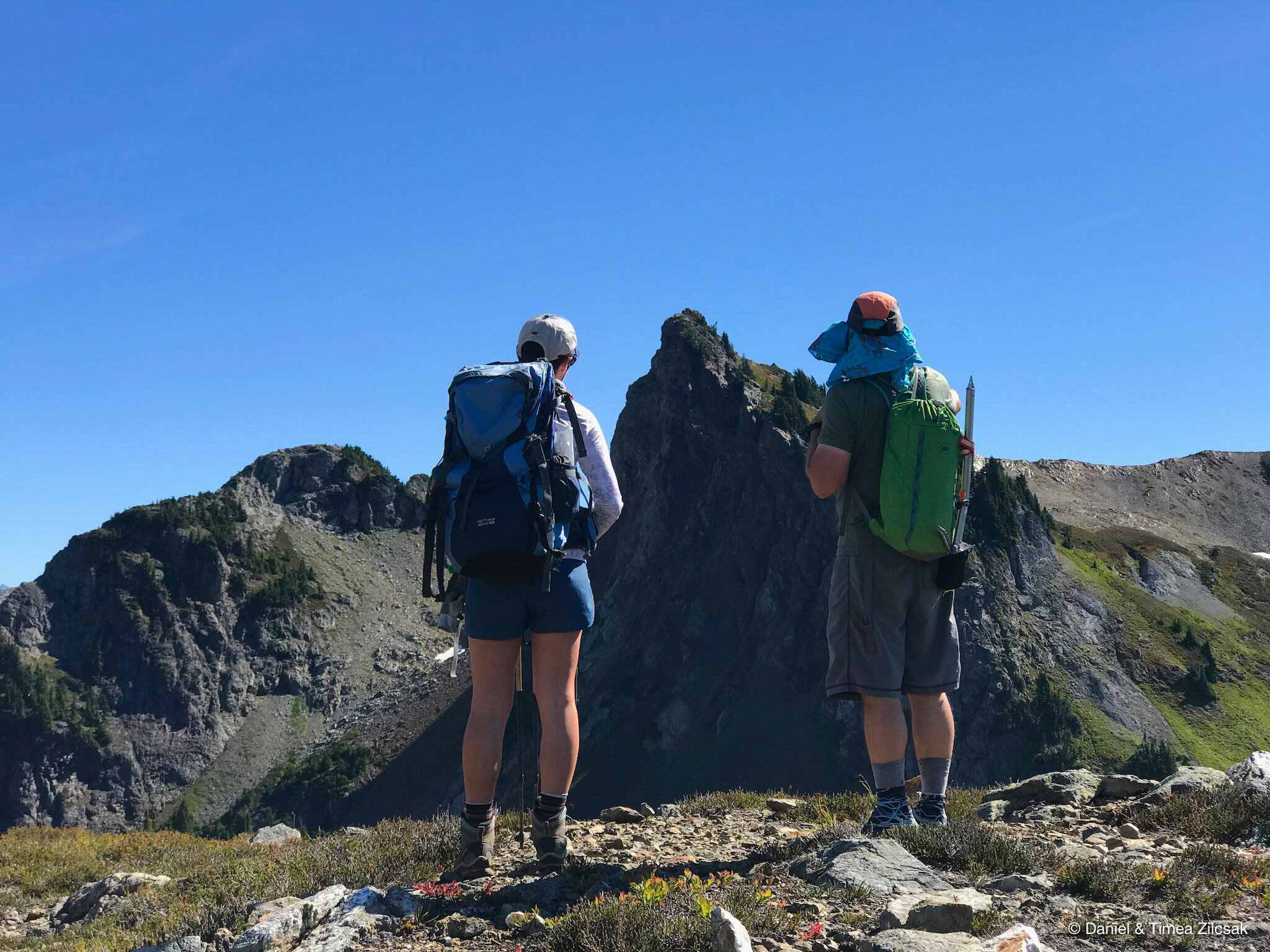 Checking out the summit of Yellow Aster Butte from the trail to Tomyhoi Peak