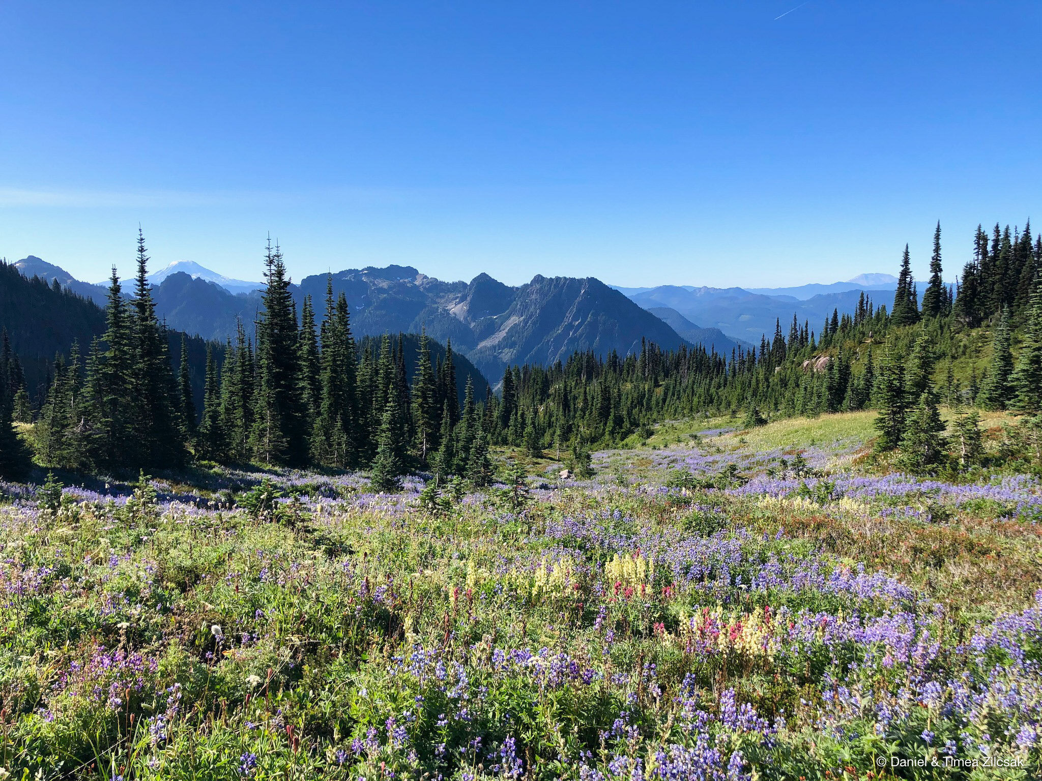 View of the Tatoosh Range in the foreground, Mount Adams to the left and St. Helens to the right