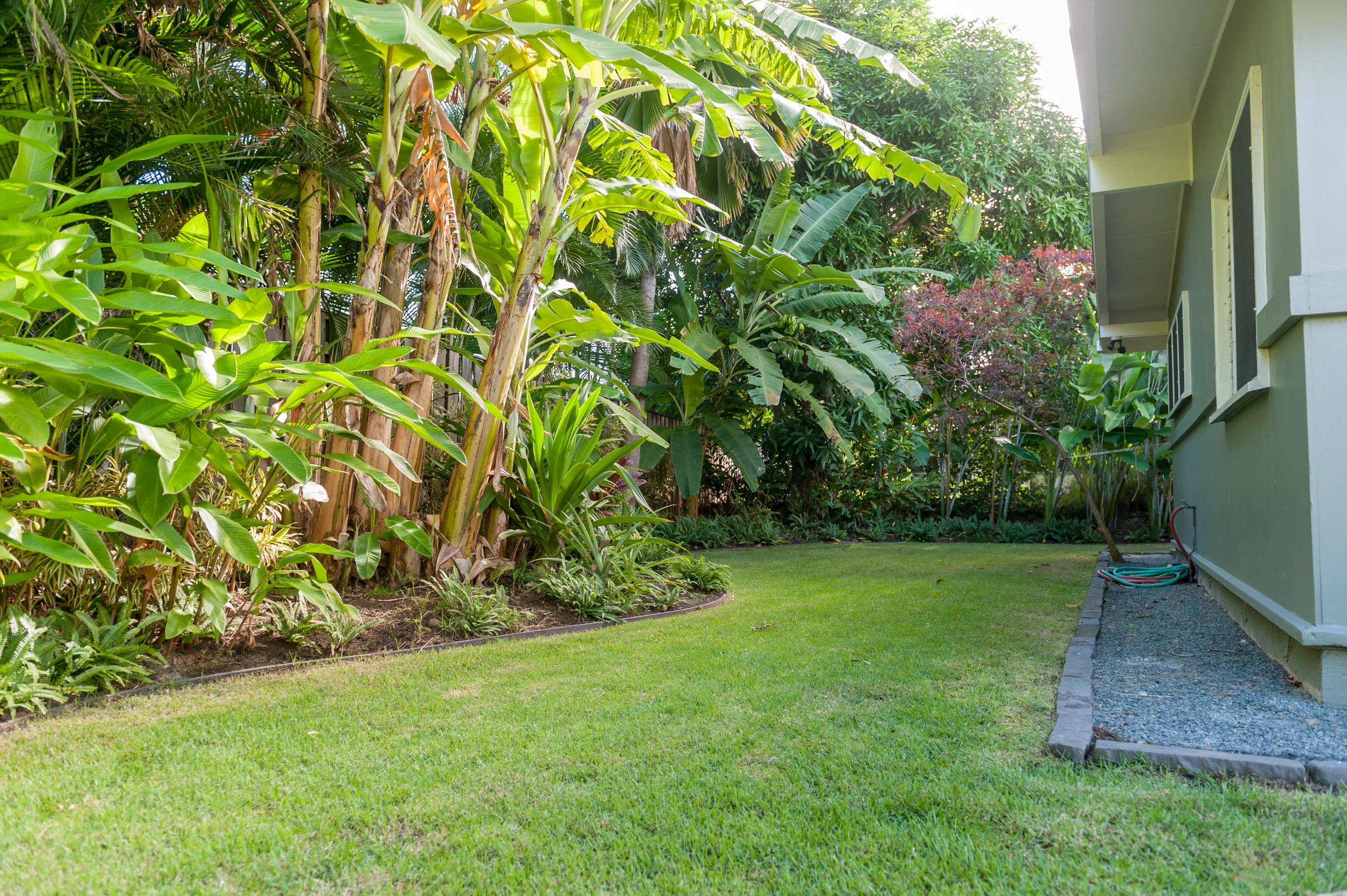 BACK YARD WRA_2204.jpg