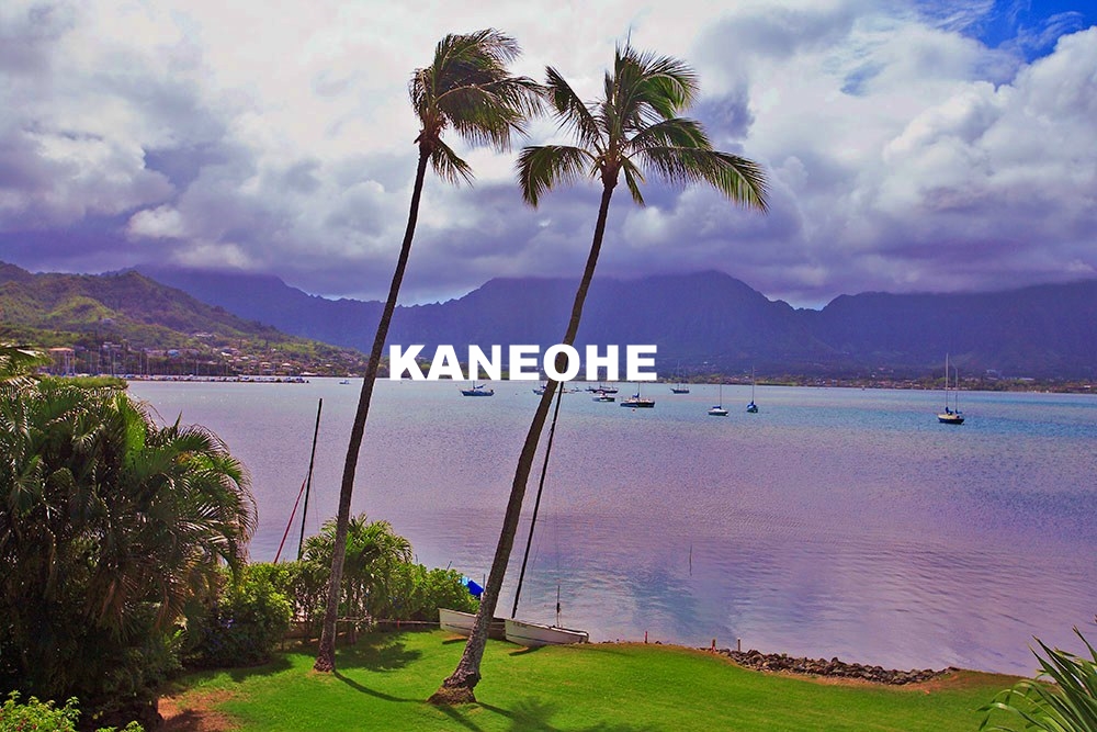 KANEOHE REAL ESTATE