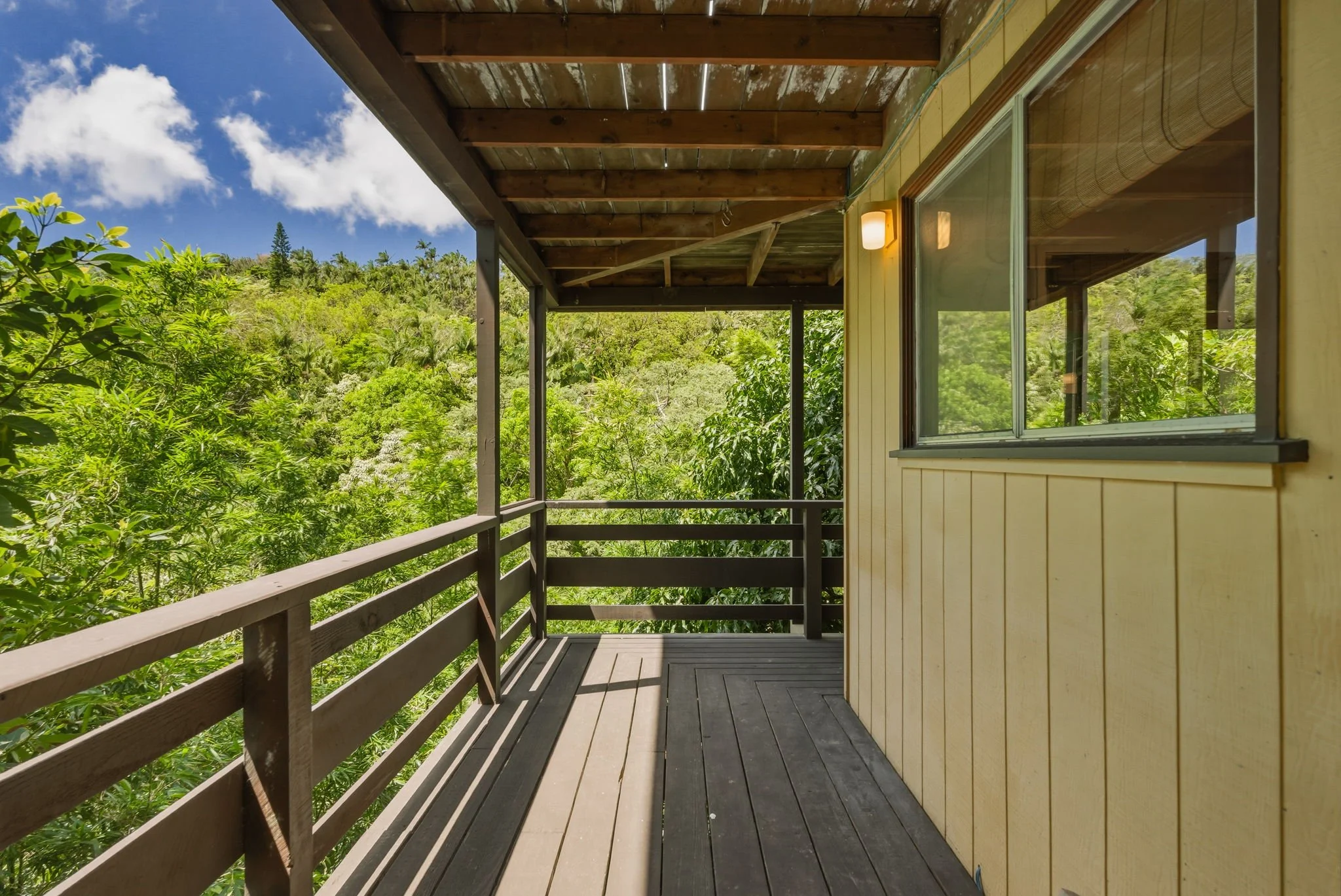 24-web-or-mls-Styron Photo 4142 Round Top Dr-2368.jpg