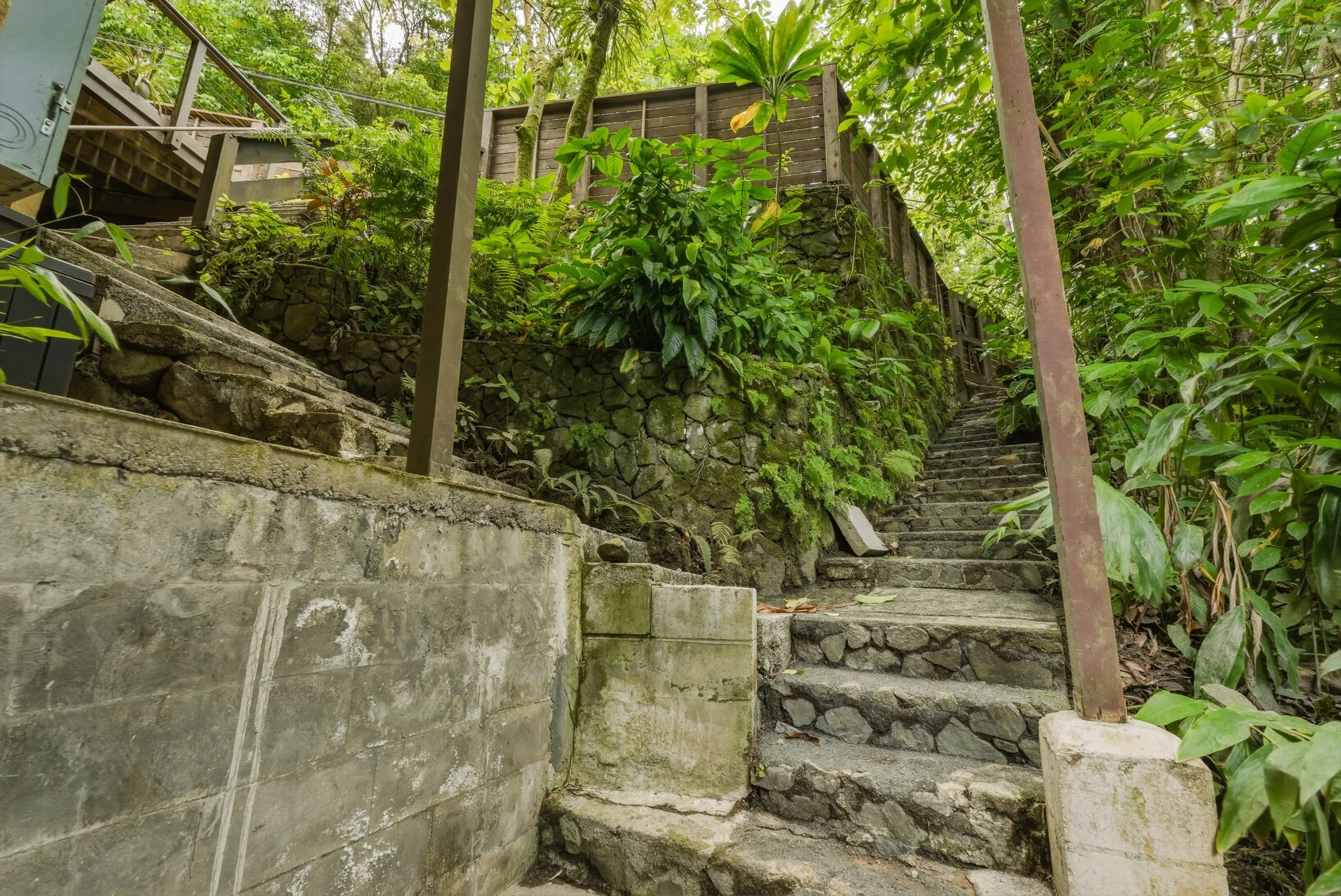 38-web-or-mls-Styron Photo 4142 Round Top Dr-2438.jpg