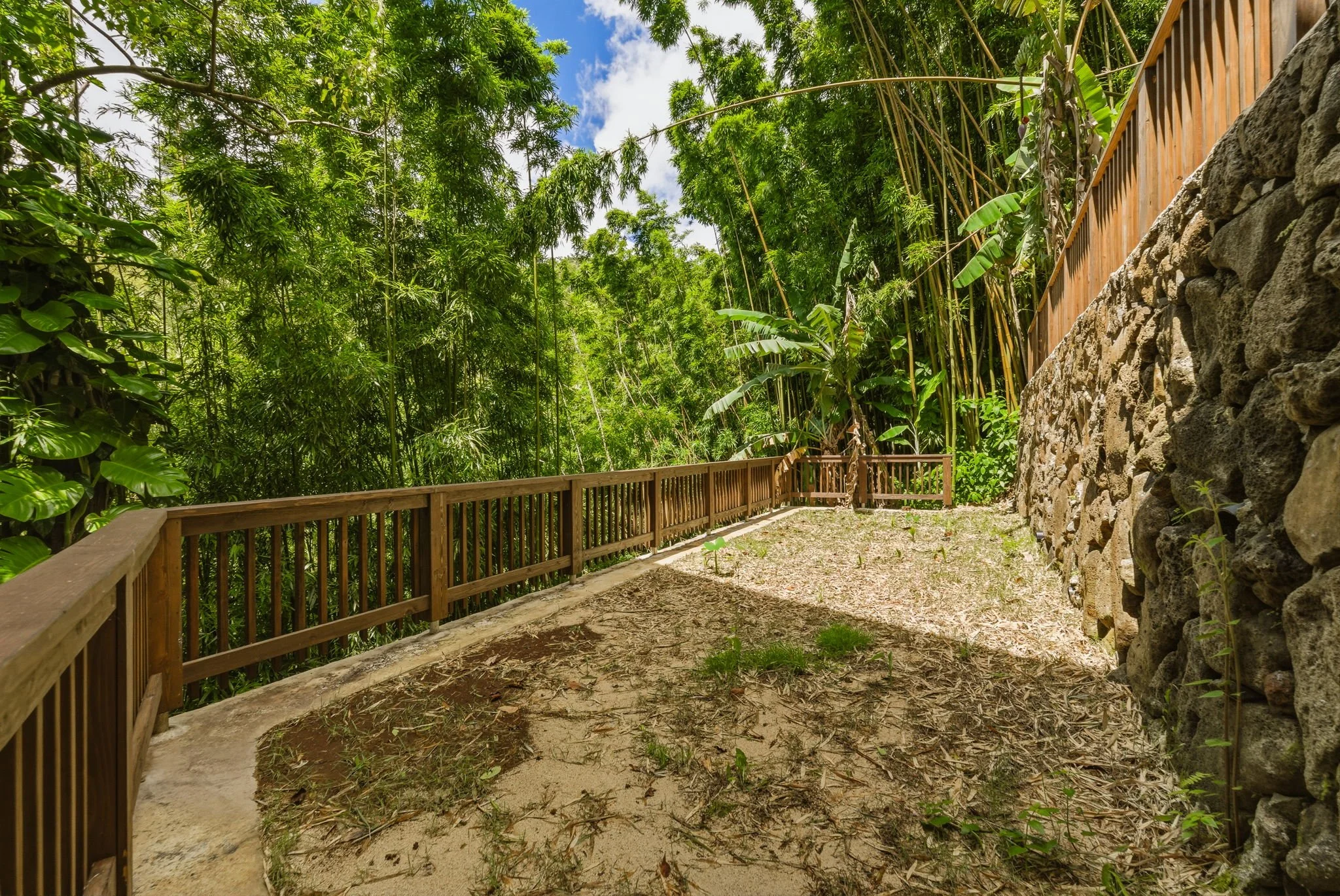 46-web-or-mls-Styron Photo 4142 Round Top Dr-2474.jpg