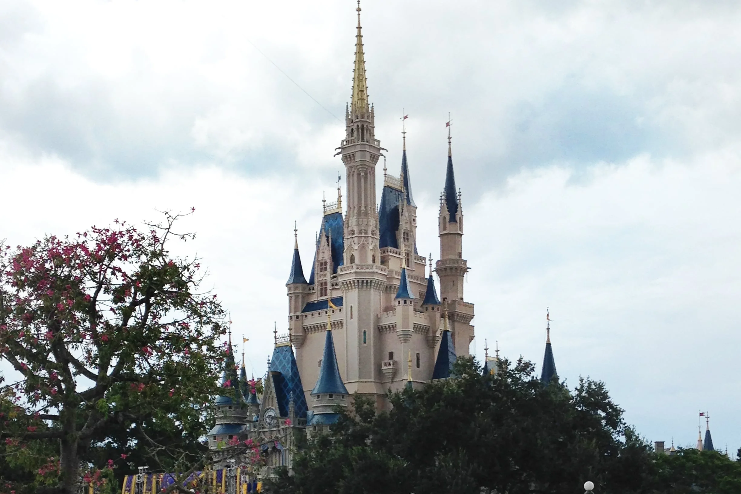 Taking Care of "Disness"!