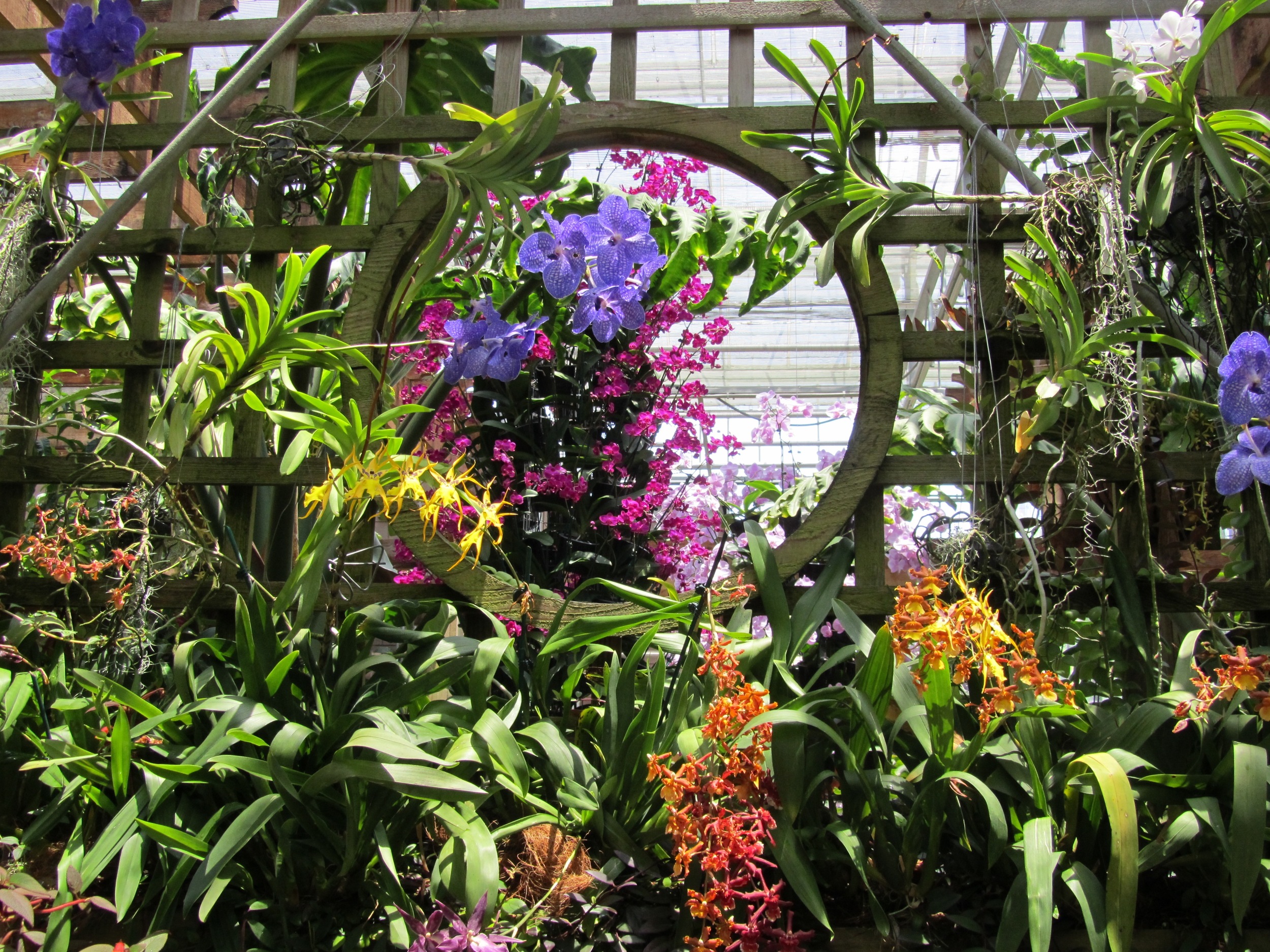 atlanta botanical.jpg