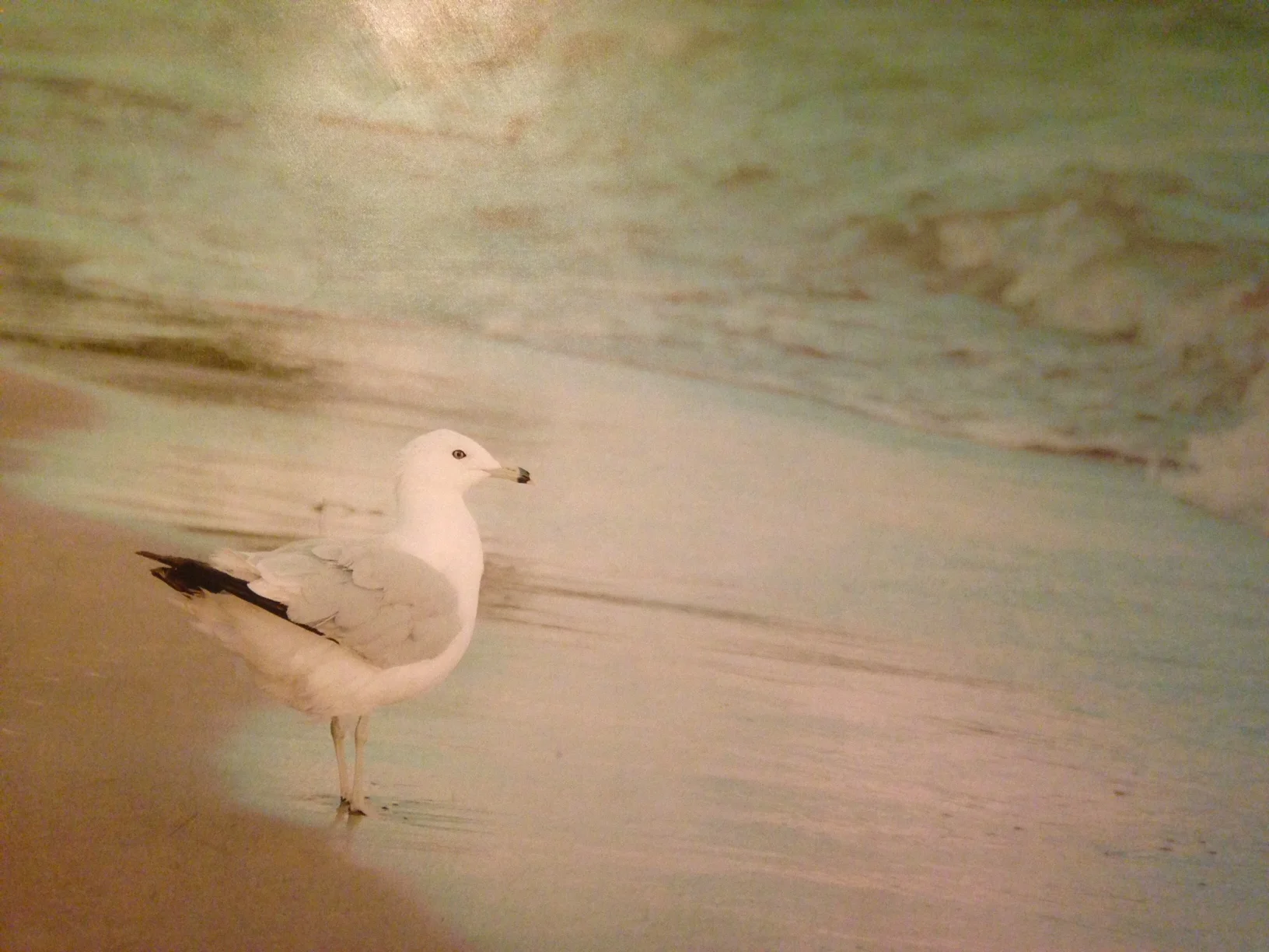 What is in your hand?