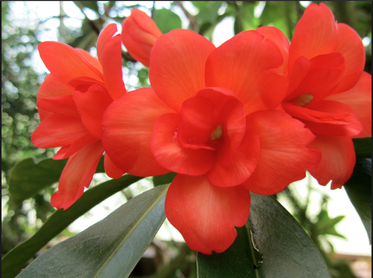 What have you learned?