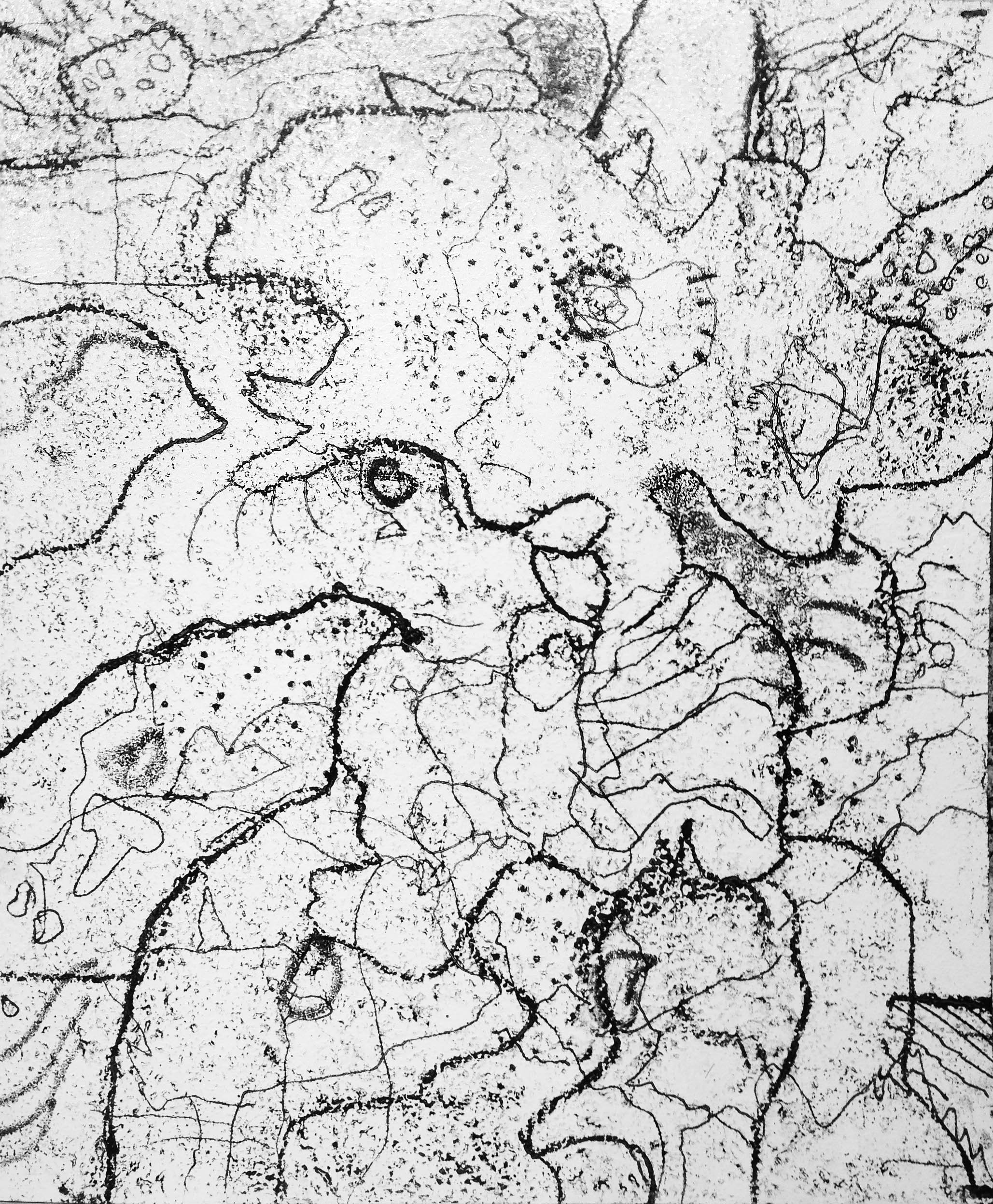 Dinosaur