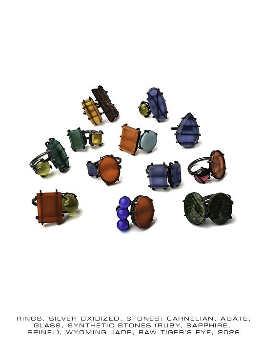 FRITSCH_rings.jpg
