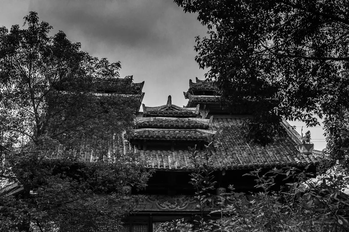 untitled-311.jpg
