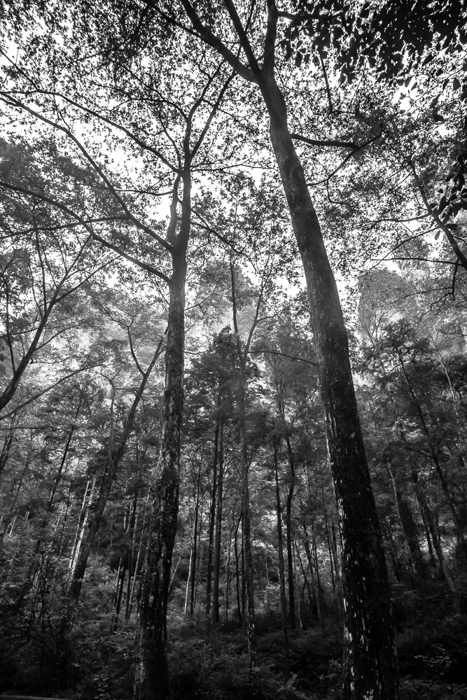 untitled-28.jpg