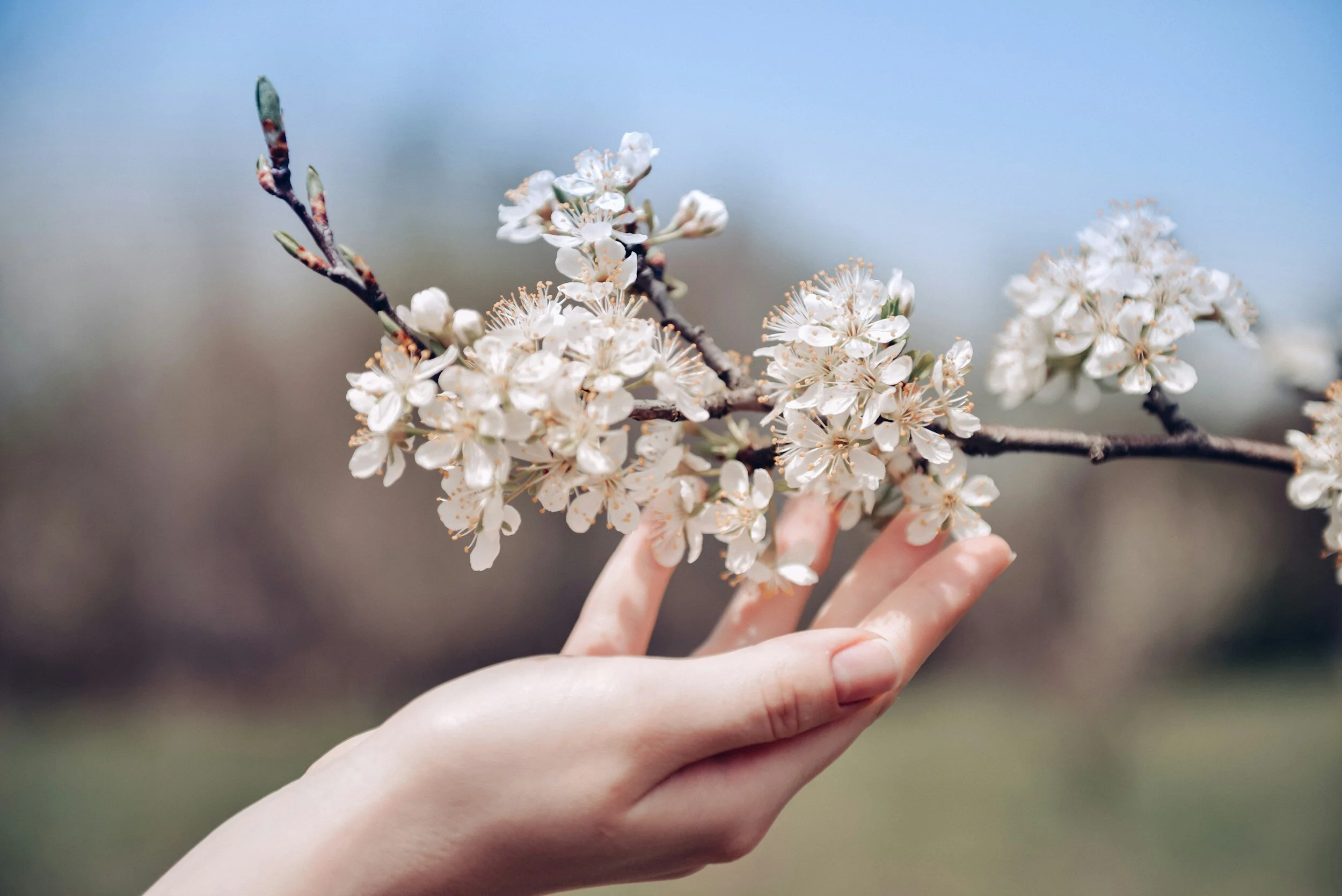 Embracing Spring: Renewing Mental Health with the Season of Growth
