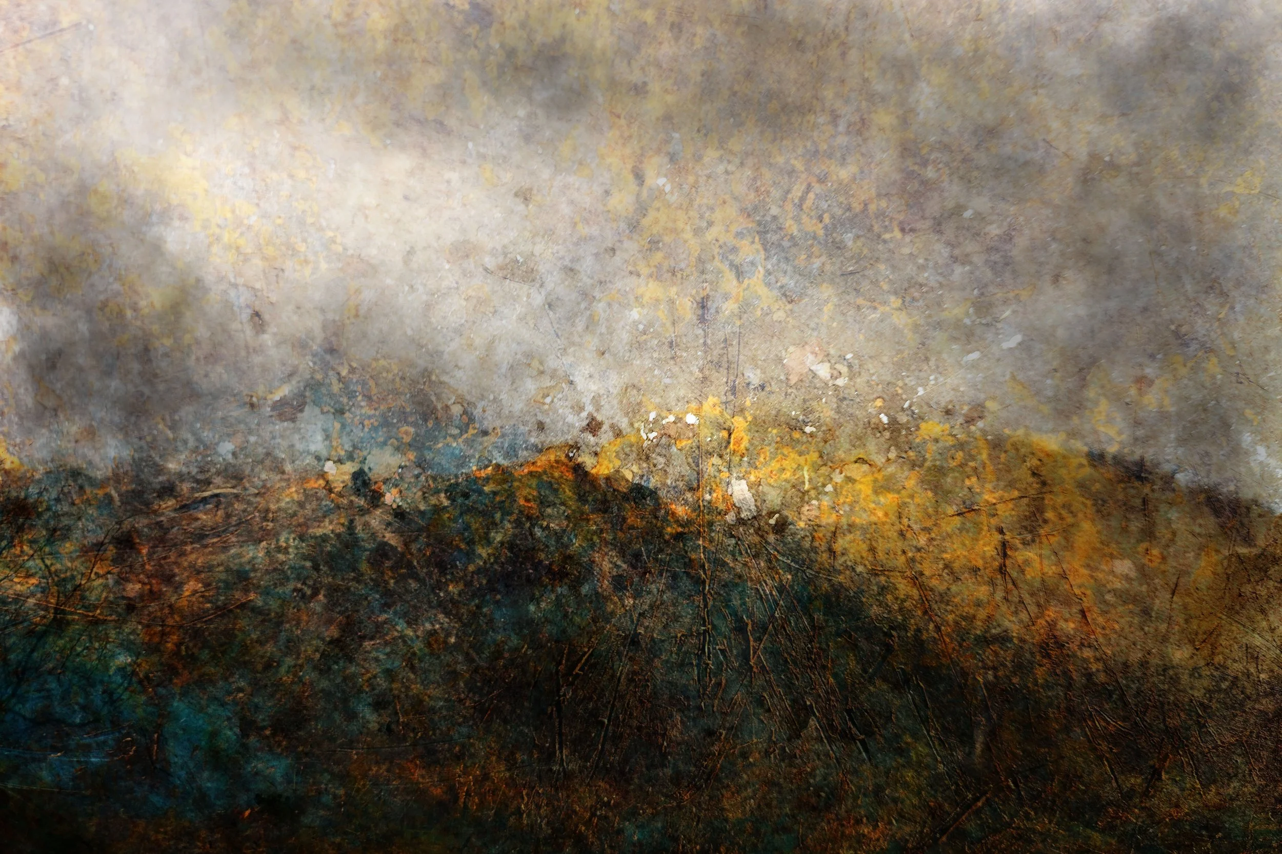 Light after rain.jpg