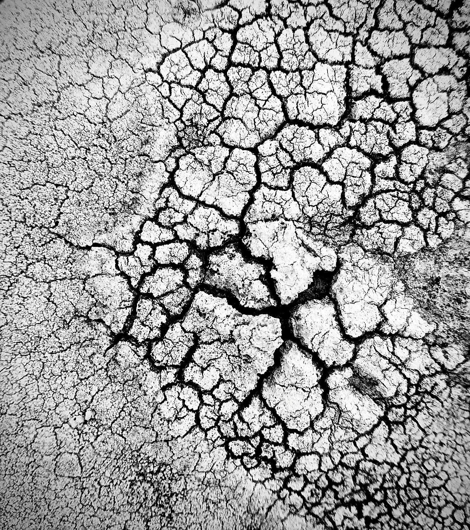 Joseph-Harlow-CRACKS.jpg
