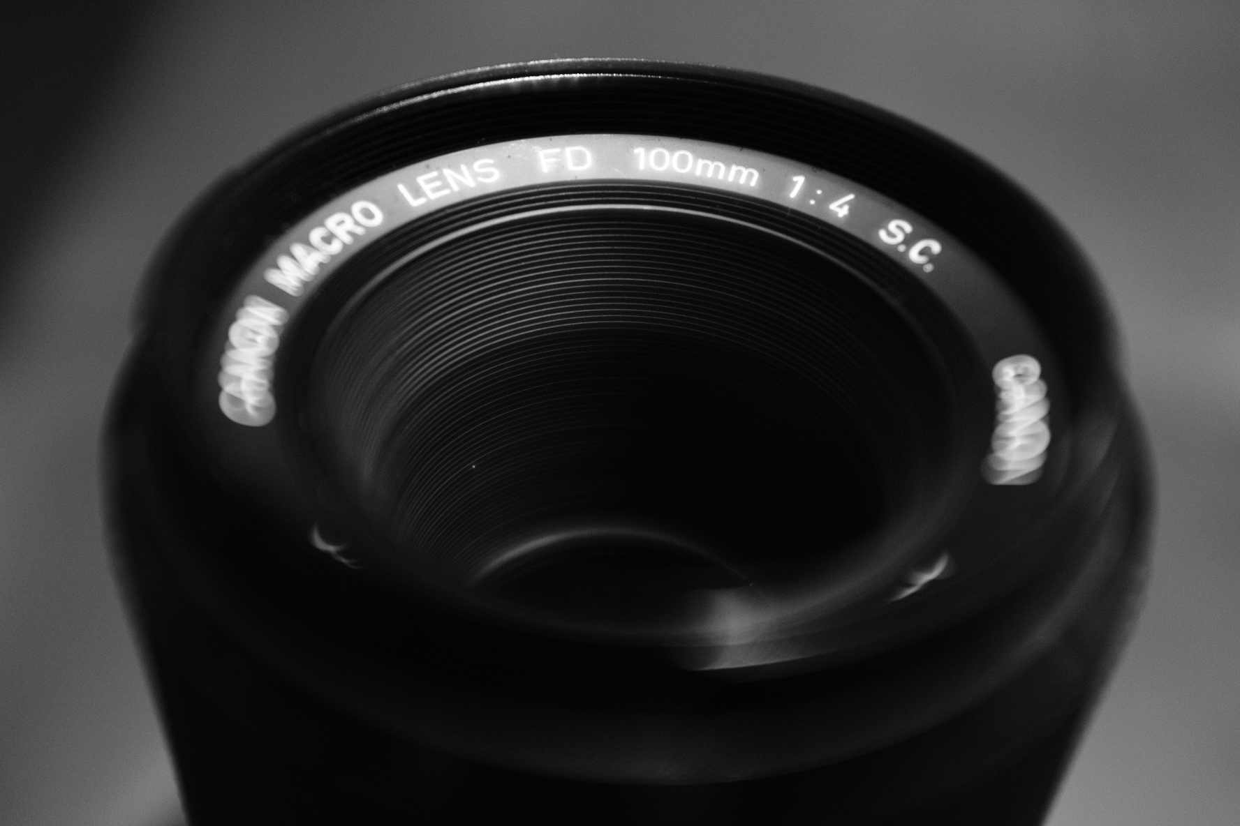 Canon FD 100mm f4 Macro - Close, but not too close — Capture