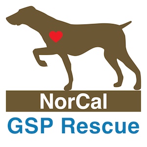 NCGSP Logo_Square 300px.jpg