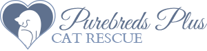 purebreds plus rescue logo.png
