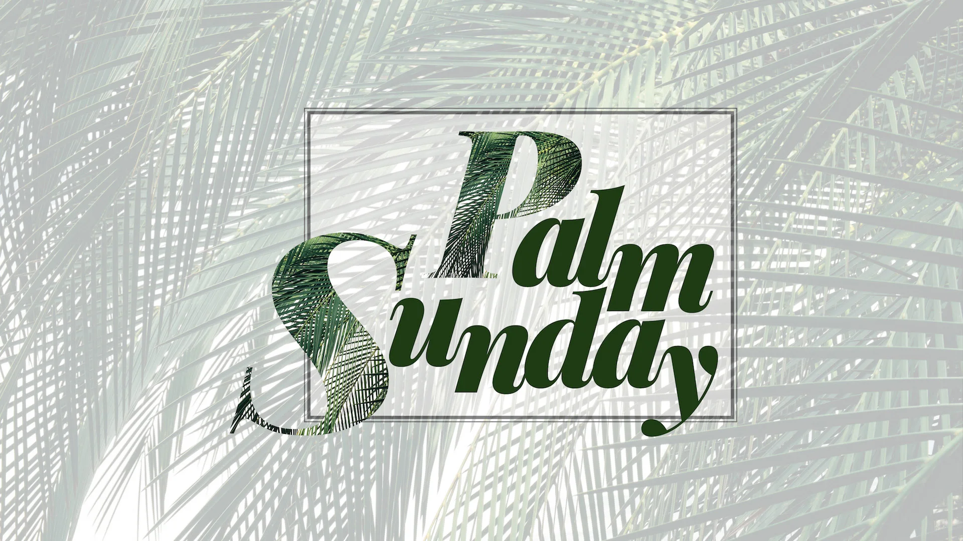 Palm Sunday Slide.jpg