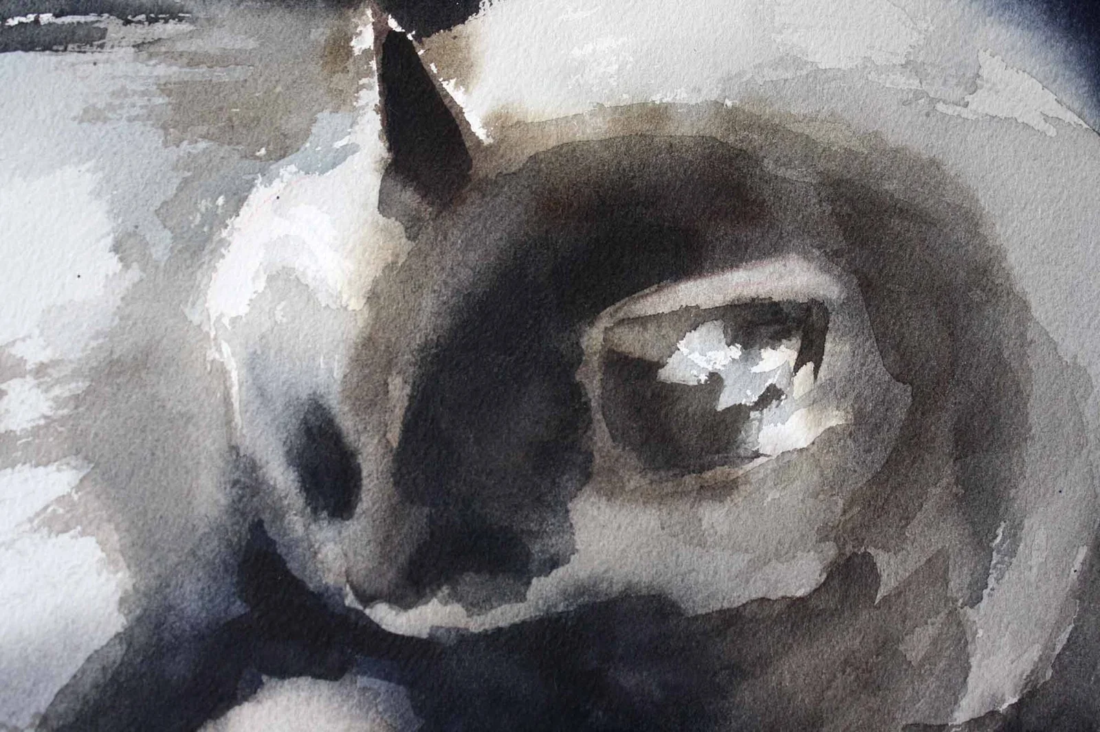 nimbus large .jpg.jpeg