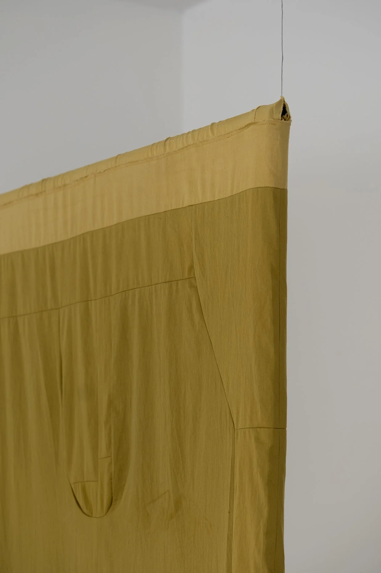 ZW Pants Banner (marigold)
