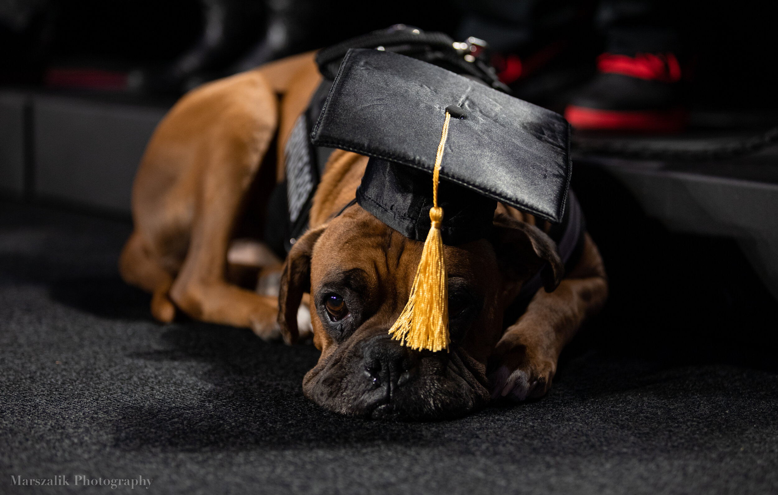 UGA Fall Commencement 2019 - Watermarked-122.jpg