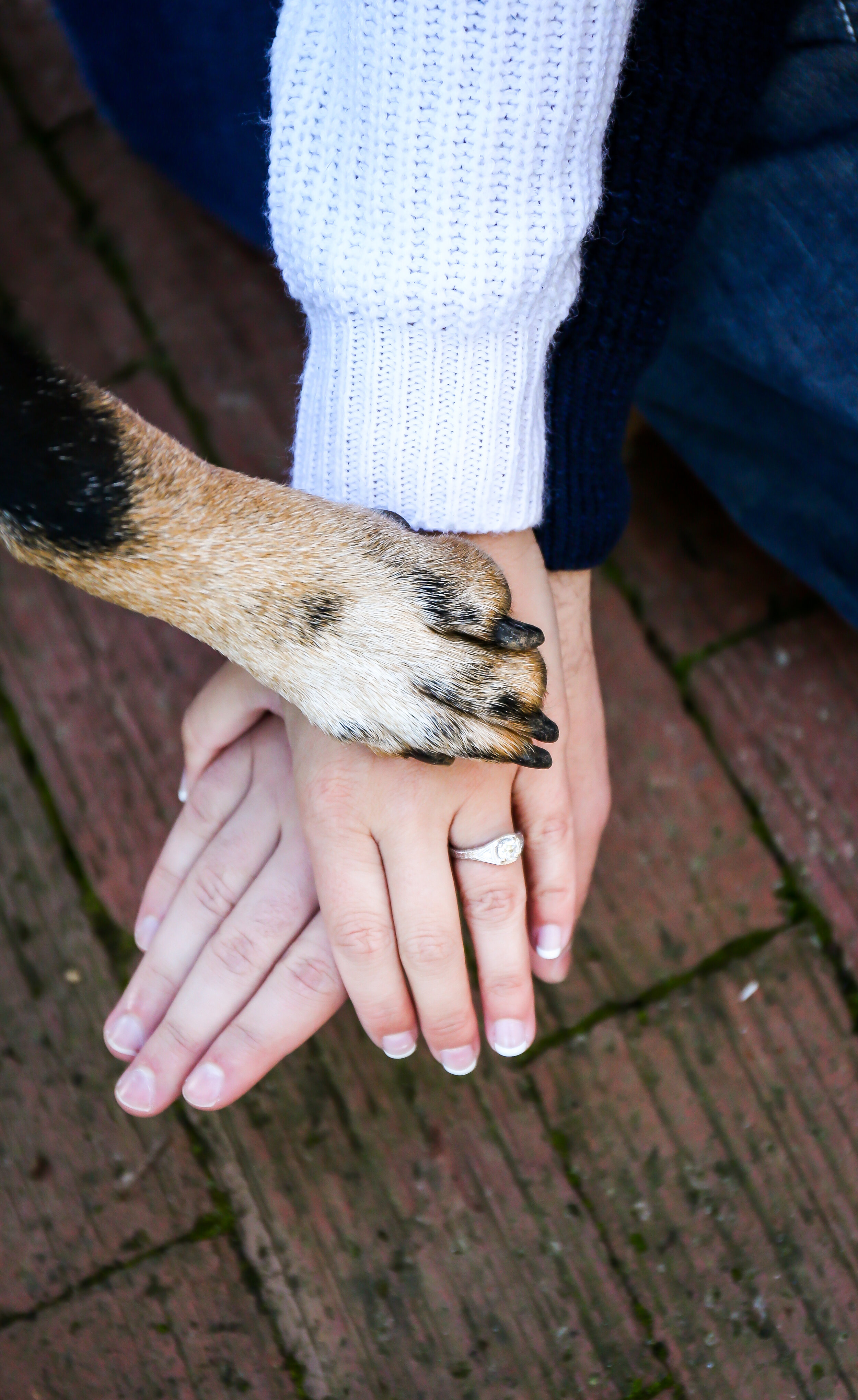 Amanda Johnson Engagement Photos-46.jpg