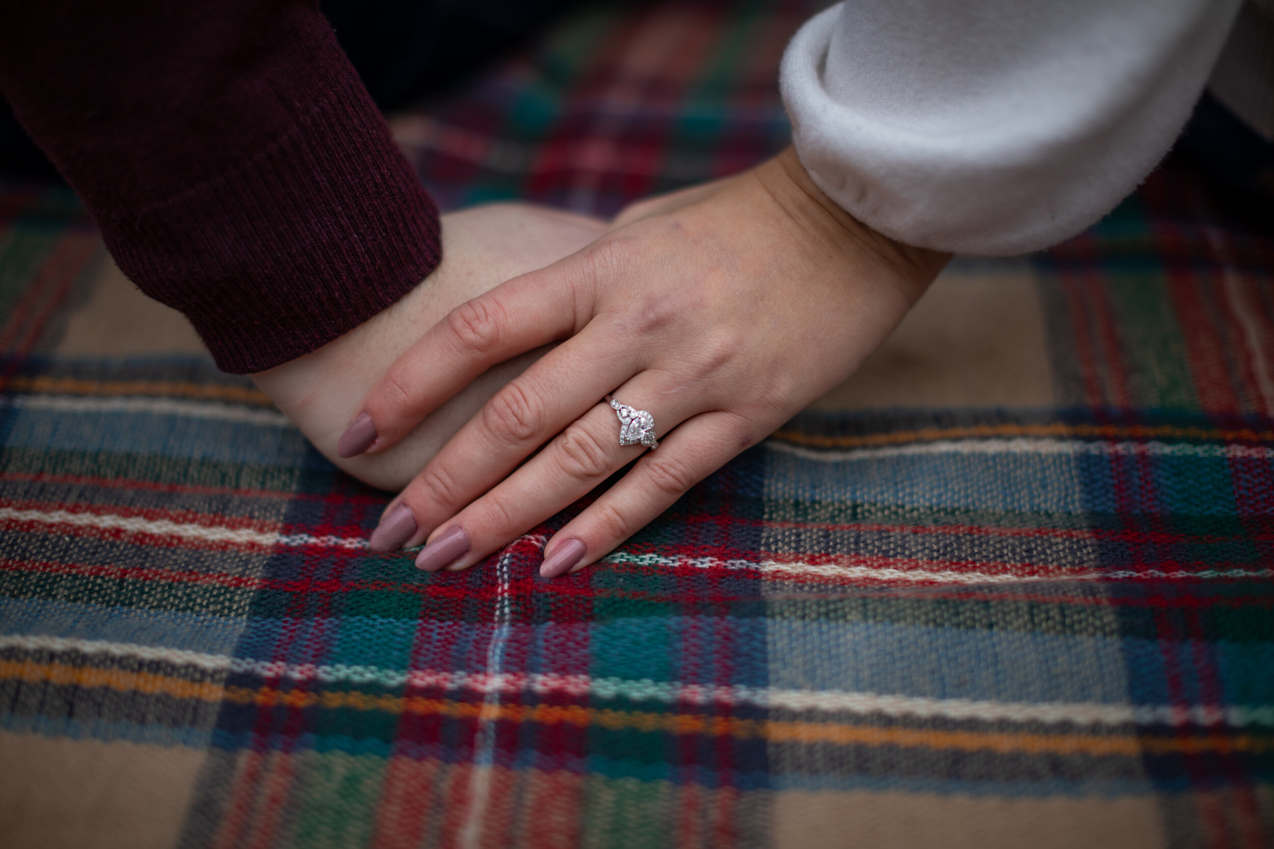 Shannon Engagement Second Session-22.jpg