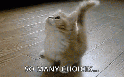 choices GIF-source.gif