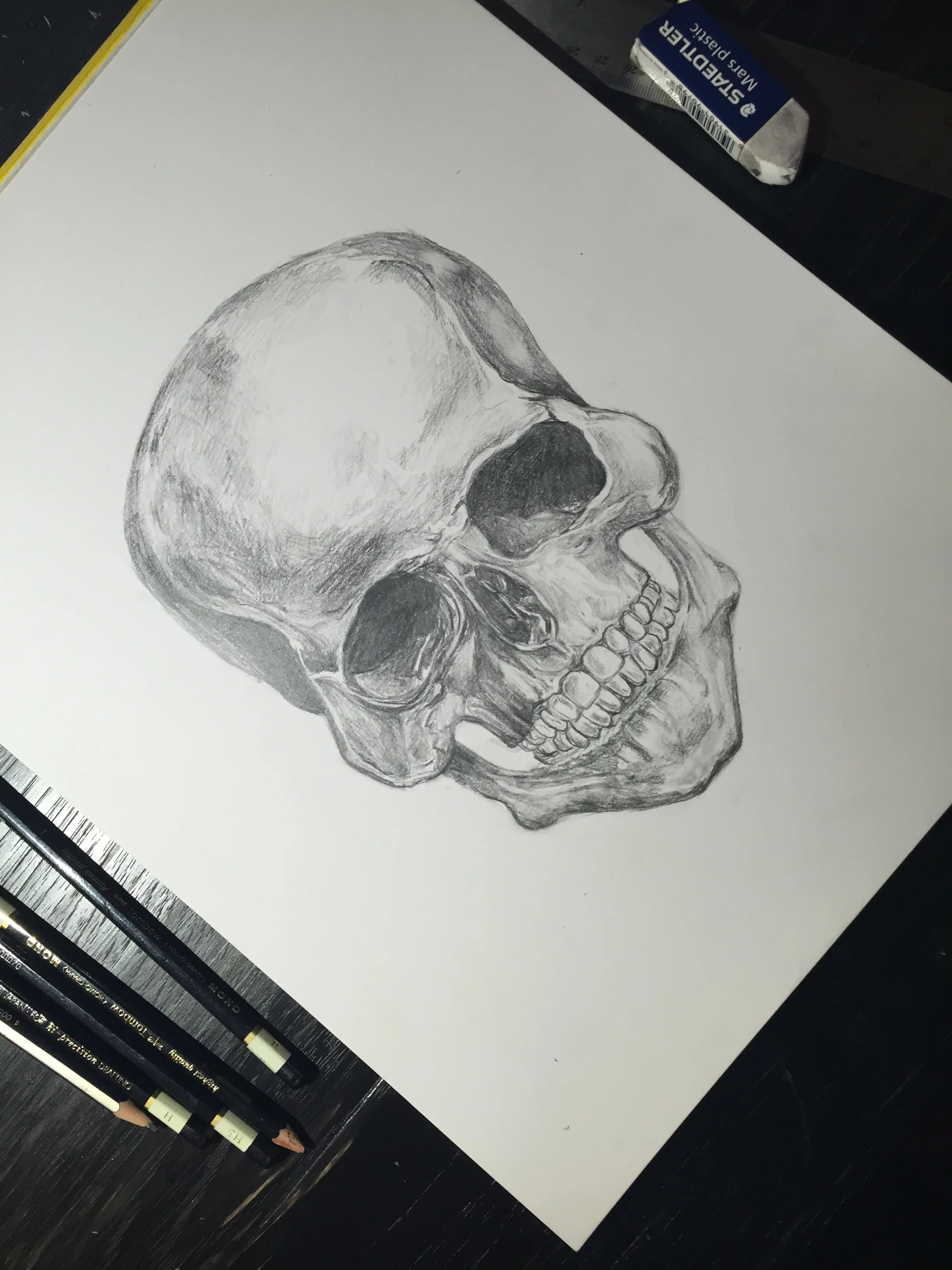 skull sketch