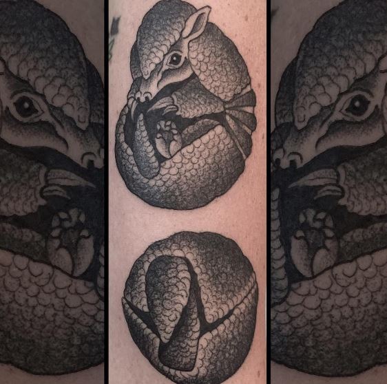 armadillo.JPG